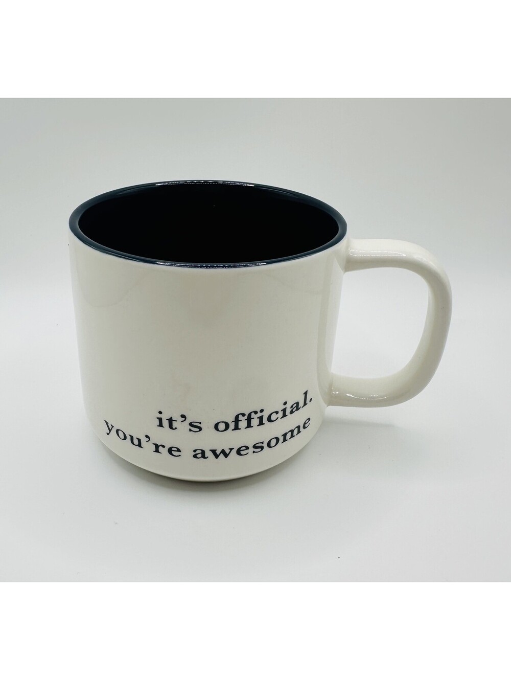 Mug It’s Official You’re Awesome 16 oz. Threshold Cup Stoneware 16oz